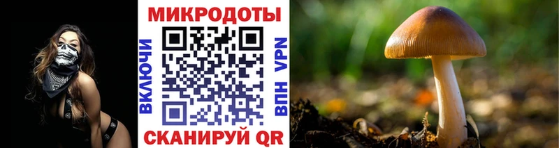 Псилоцибиновые грибы Cubensis  Купить  Озёрск 